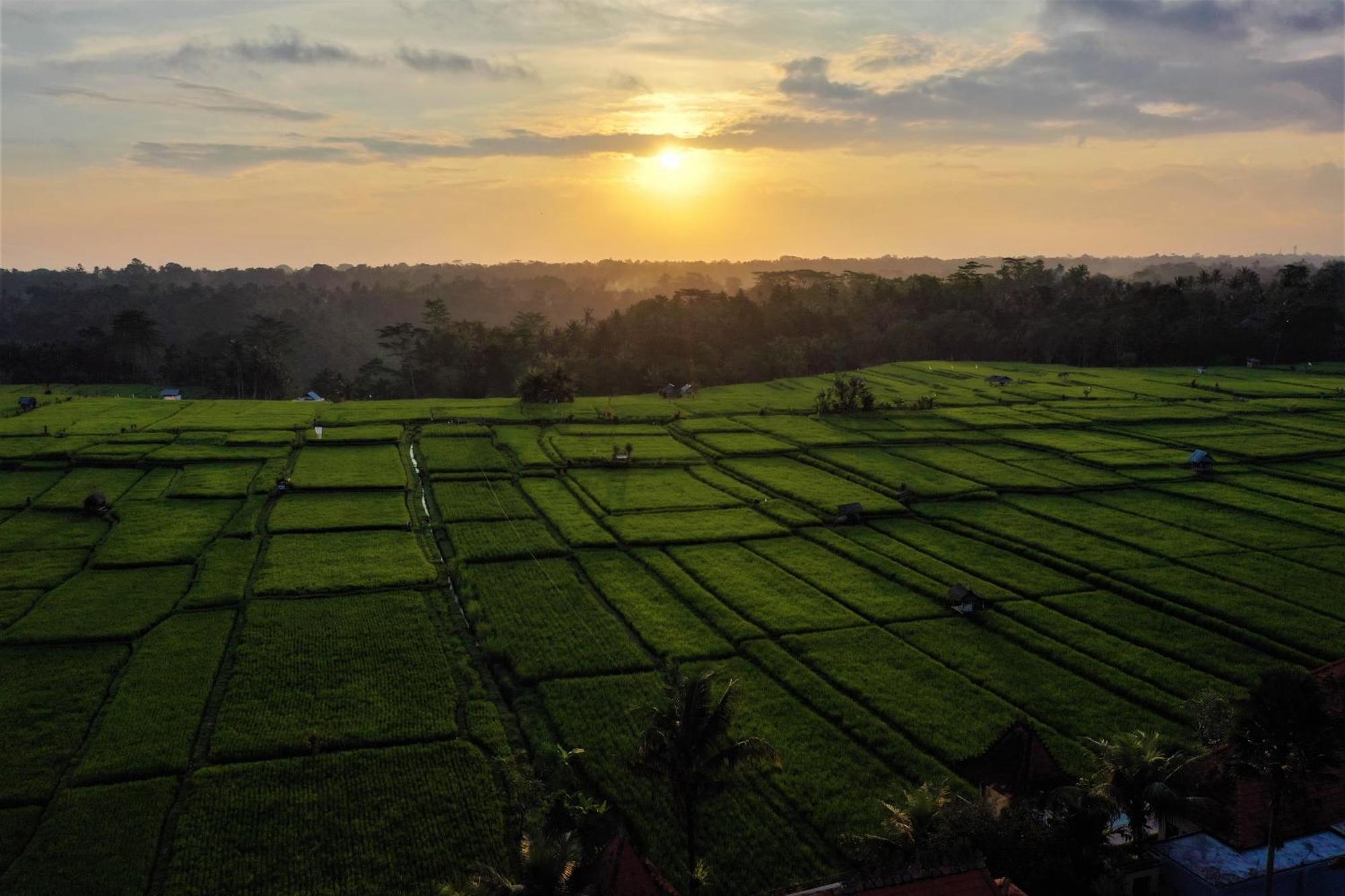 The Joglo At Umah Sunset Ubud Exterior foto